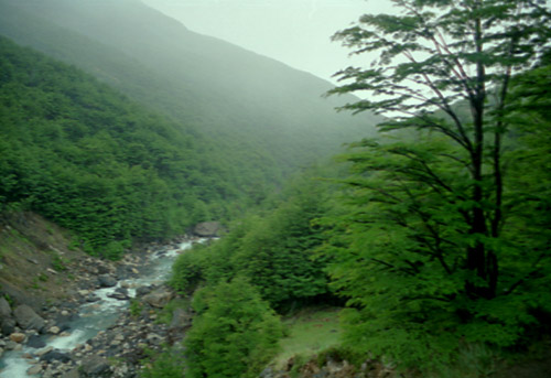 Green of the Ascencio valley